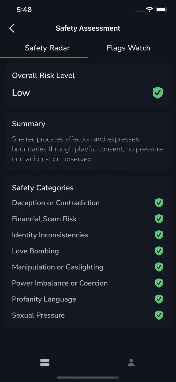 Ekko safety assessment screen listing categories such as manipulation, pressure and identity inconsistencies with an overall risk level.